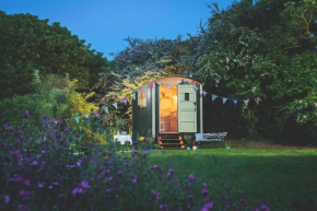 Elderflower Hut